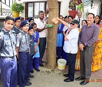 Scouts & Guides