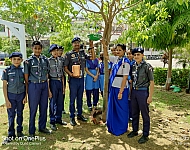 Scouts & Guides